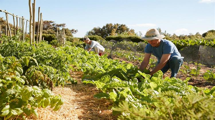 ΕΕ: Στο Επίκεντρο η Βιωσιμότητα του Αγροτικού Τομέα